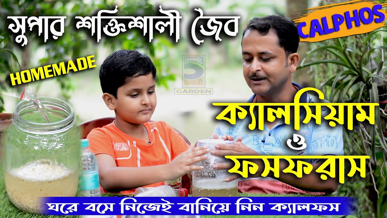 নিজেই বানিয়ে নিন সুপার শক্তিশালী জৈব ক্যালসিয়াম ও ফসফরাস ! How to make organic calphos fertilizer !