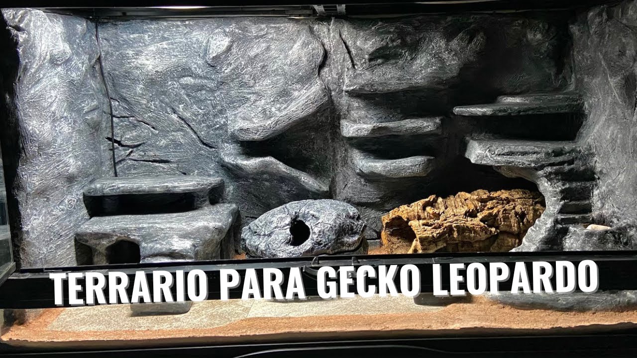 Nuevo terrario para mi GECKO LEOPARDO! (con excavator!)