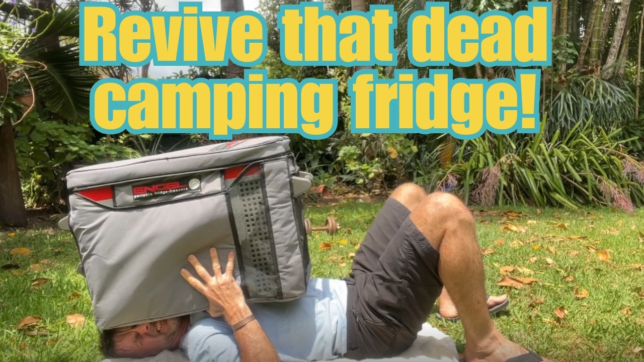 Revive your dead camping fridge, fix your Engel electrics,
