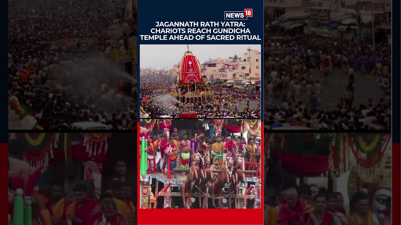 Jagannath Rath Yatra: Three Holy Chariots Reach Gundicha Temple | N18S #shorts