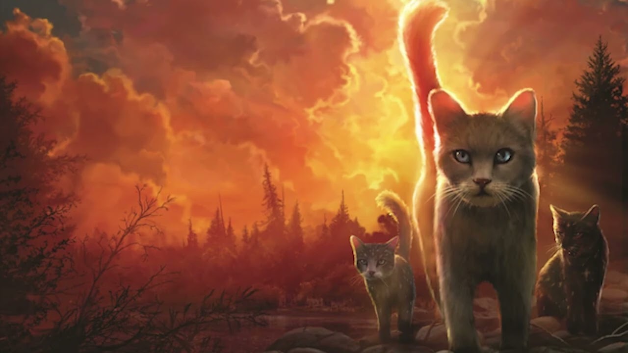 Warriors ASC Star Audiobook