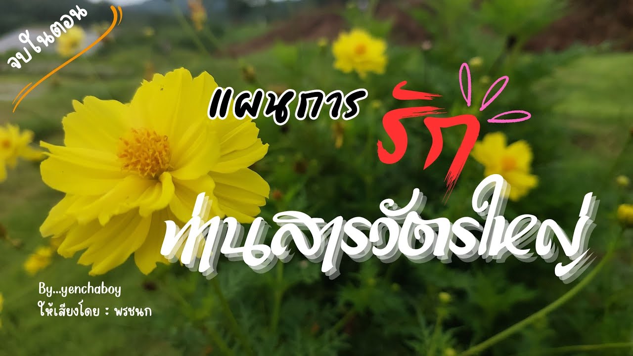 เรื่องสั้น... แผนการรักท่านสารวัตรใหญ่ (จบ)