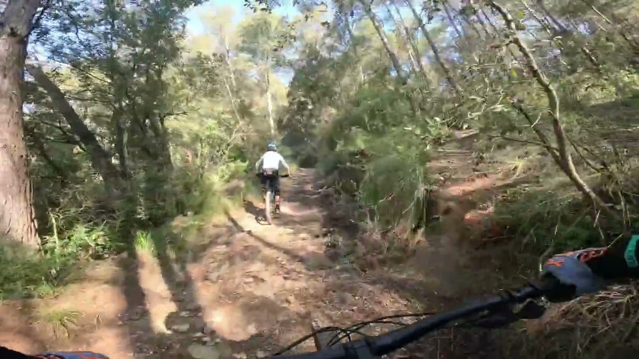 Endureando por Torrelles 