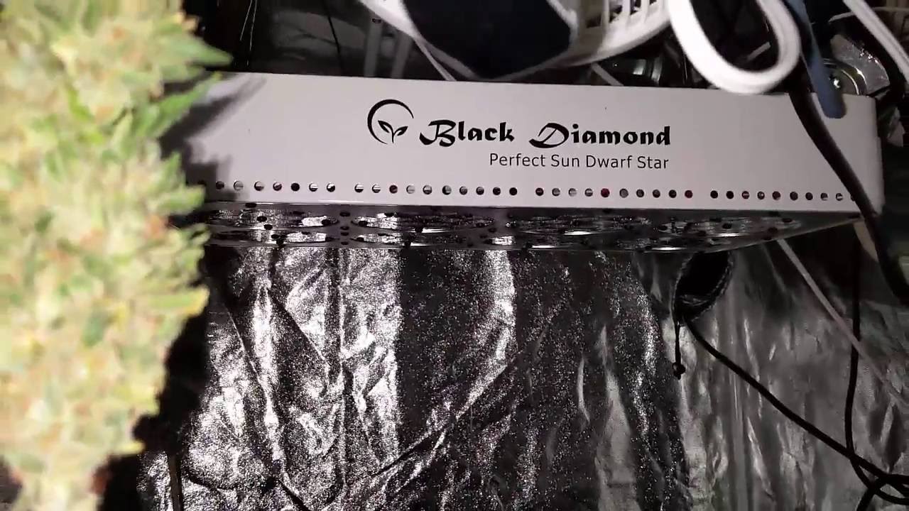 Perfect Sun Dwarf Star LED Pulls over 8oz   only 225 watts   must see