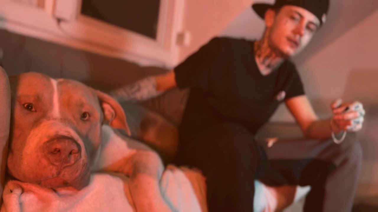Hood Poet - No Mercy [Music Video]