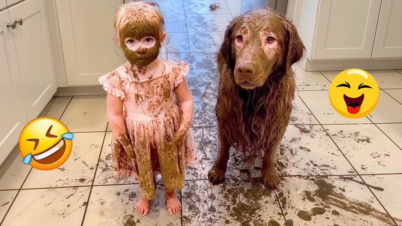 Try Not To Laugh 🤣 Most Watched Funny Dog Videos Compilation 🐶 #7