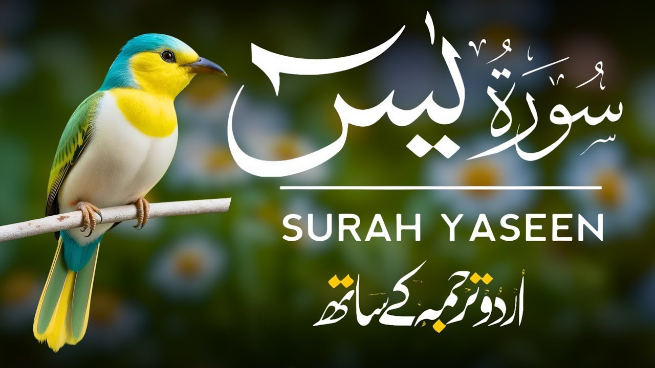 Surah Yaseen | Surah Yaseen With Urdu Translation | Al Furqan Studio | Ep090