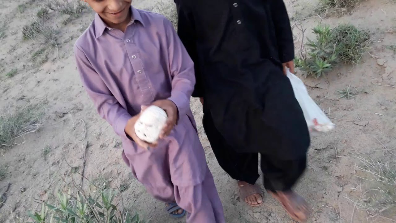 Desert Mushrooms