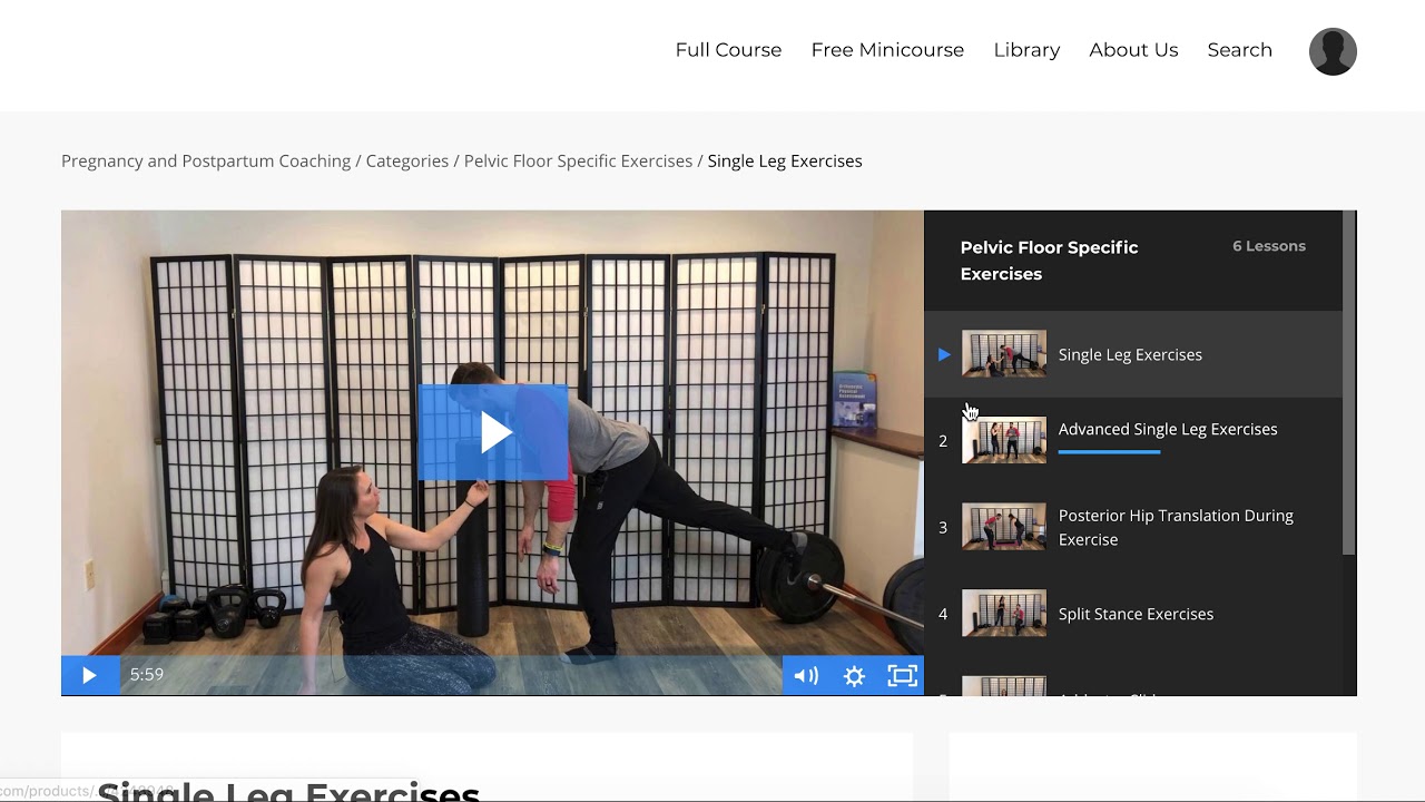 Pregnancy and Postpartum Coaching Course Preview