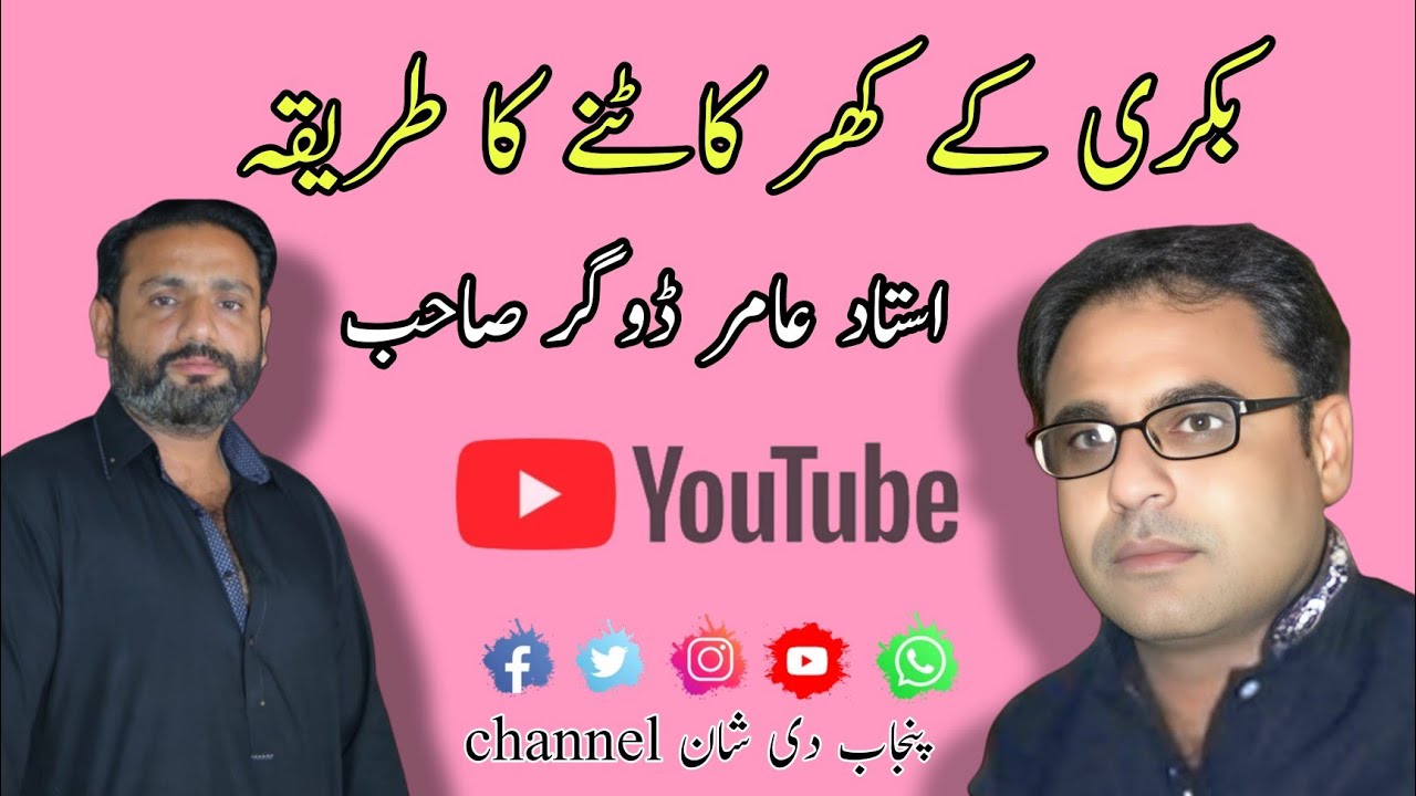 بکری کے کھر کاٹنے کا طریقہ How To Trim goats Hooves Hoof Trimming of Goats. Amir Dogar Goat Farm