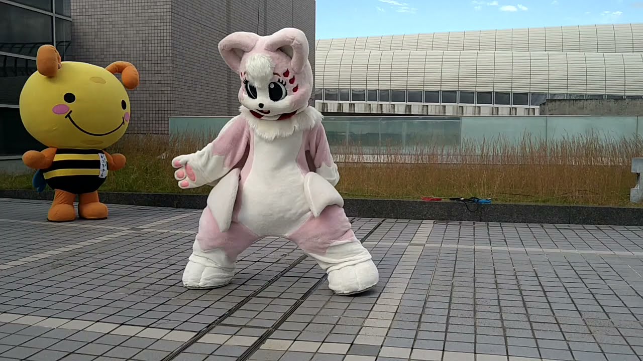 三浦大知 / Backwards　キャラパ in KATANO 5th 柴崎さき
