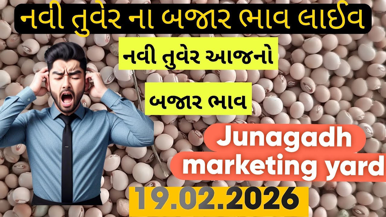 નવી તુવેર ના બજાર ભાવ / તુવર ના ભાવ આજના / નવી તુવેર ની હરાજી લાઈવ જુનાગઢ  / junagadh marketing yard