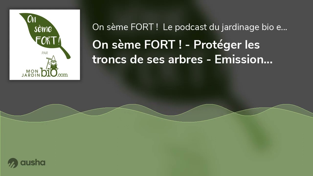 On sème FORT ! - Protéger les troncs de ses arbres - Emission du 3 février