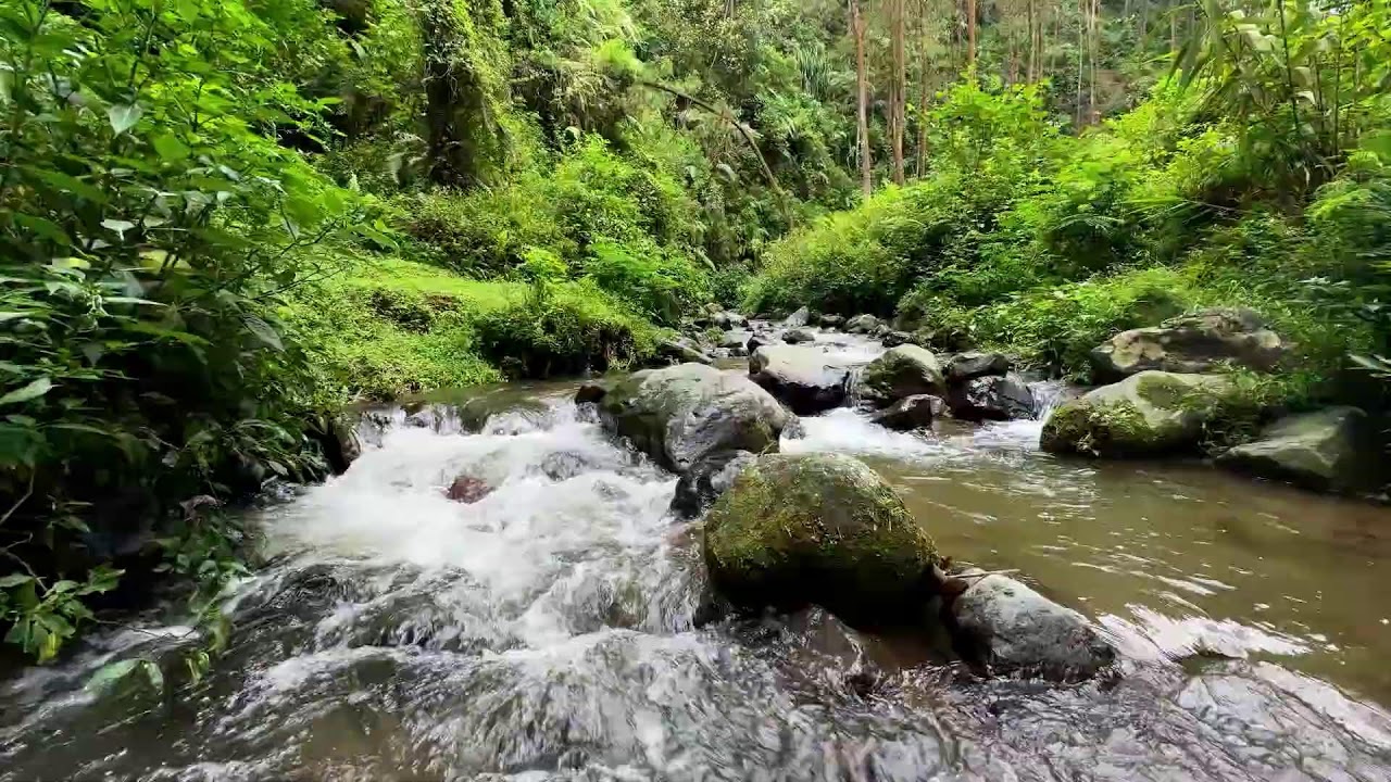 Peaceful river relaxation under moonlit forest sky supporting deeper restful deep sleep tonight