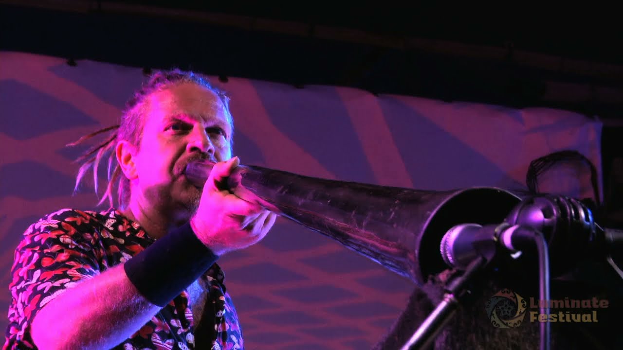 Wild Marmalade at Luminate 2015