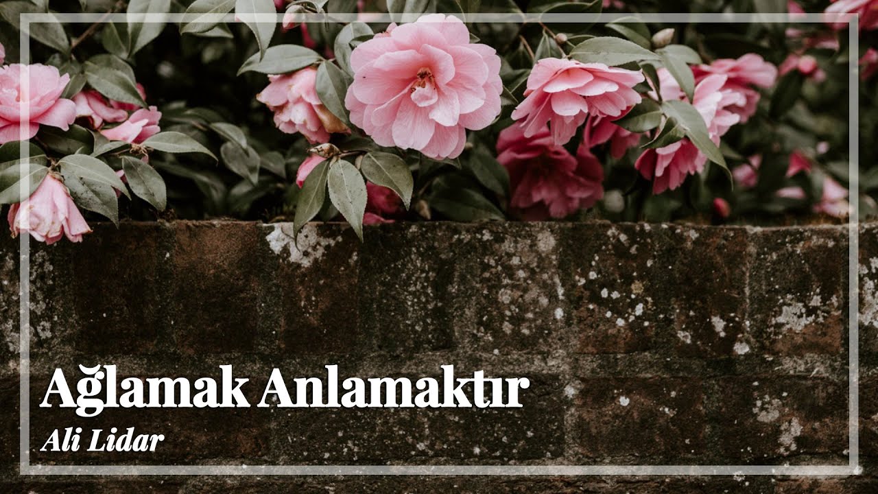 Ali Lidar | Ağlamak Anlamaktır