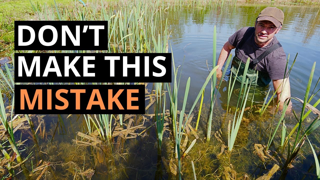 We Thought Off-Grid Water Would Be EASY… We Were Wrong!