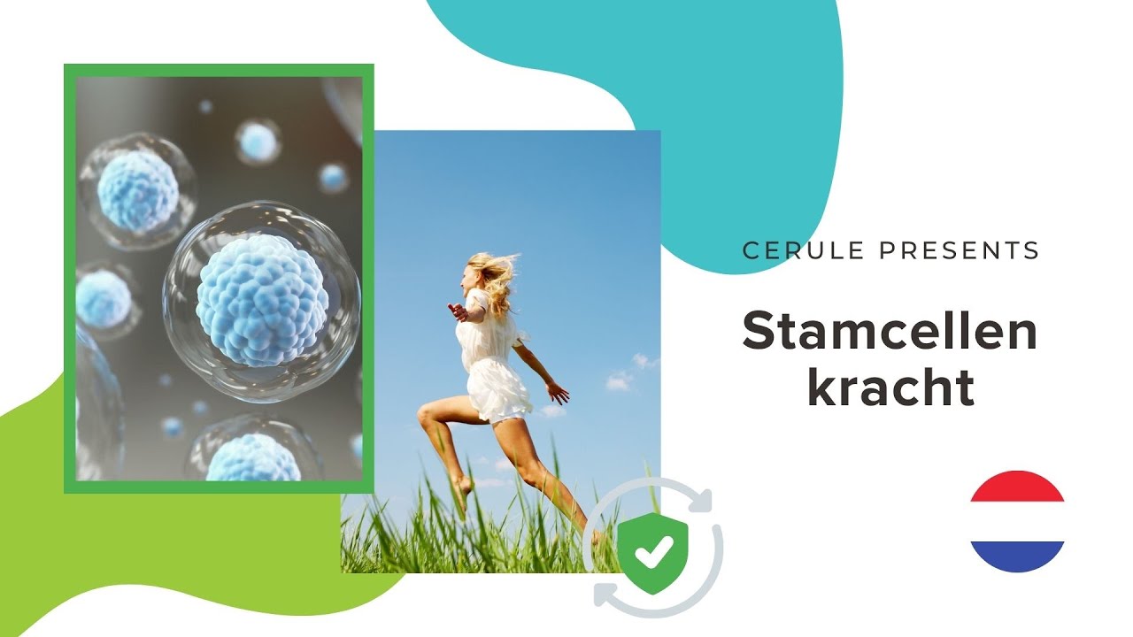 Stamcellen - Cerule (NL)