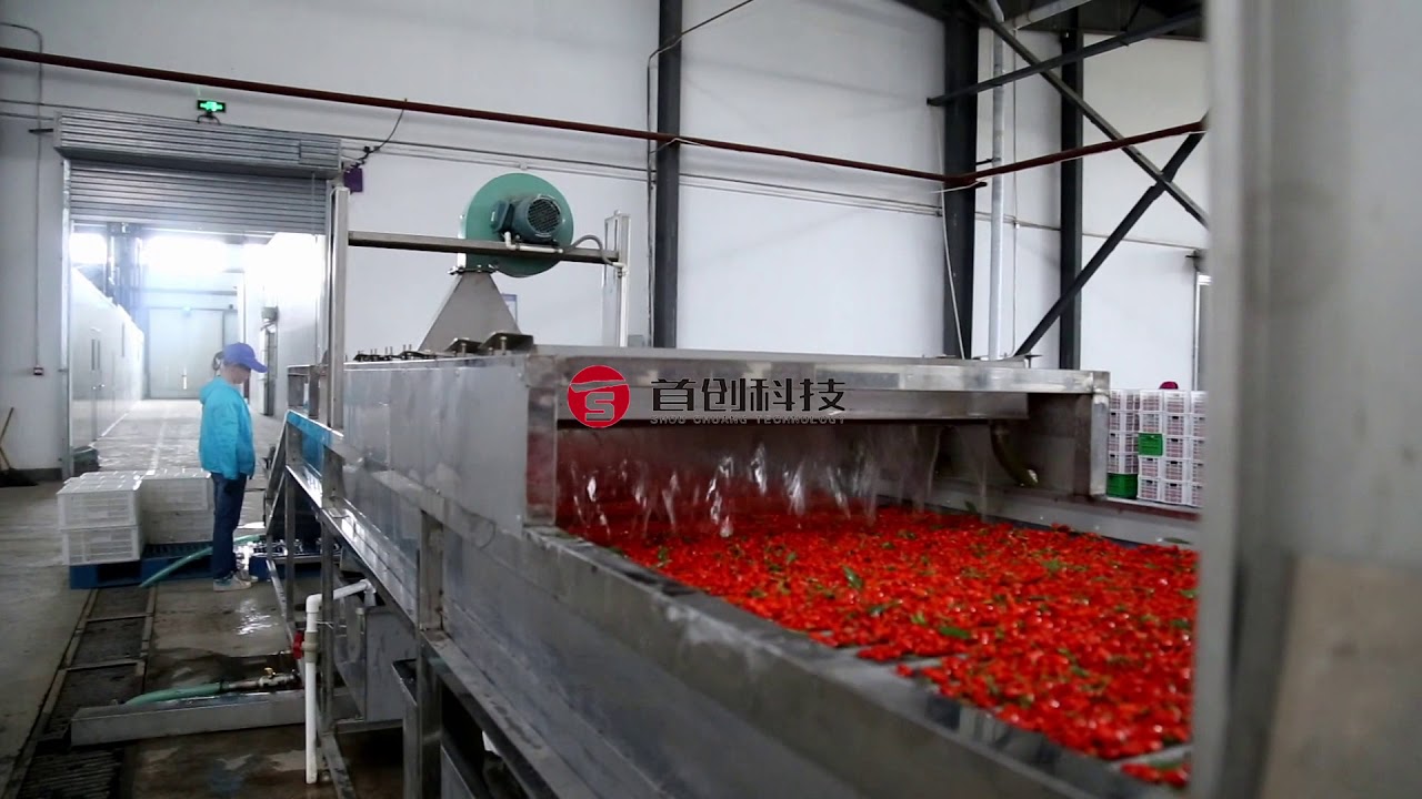 Food drying machine hot air dryer dried fruit equipment from China manufacture 47years experience