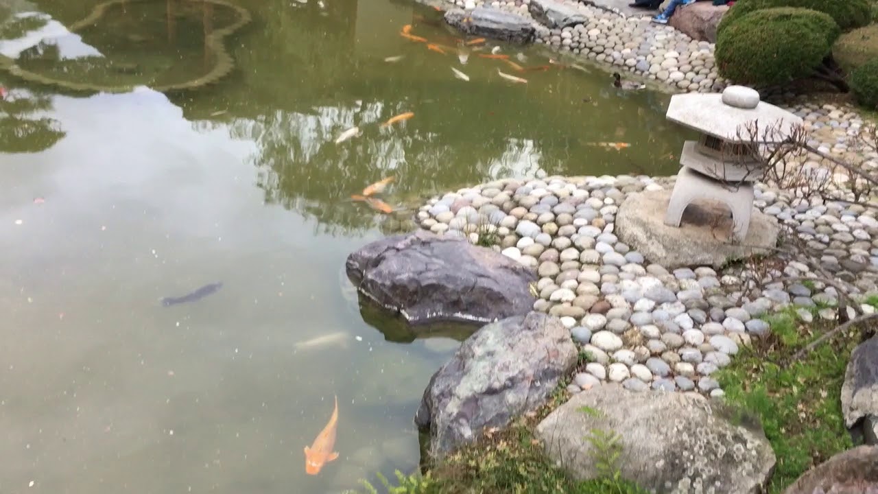 MONICVLOG - IL FASCINO DEL GIARDINO GIAPPONESE