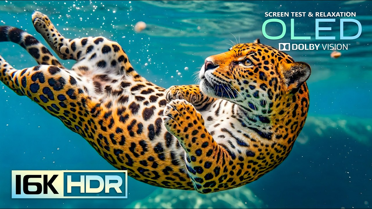 Epic Depth and Clarity 16K Video ULTRA HD | 8K HDR Dolby Vision 120FPS