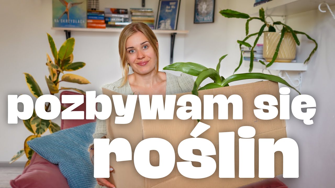 Niektóre rośliny wyjeżdżają z mieszkania | oczyszczam przestrzeń roślinną 