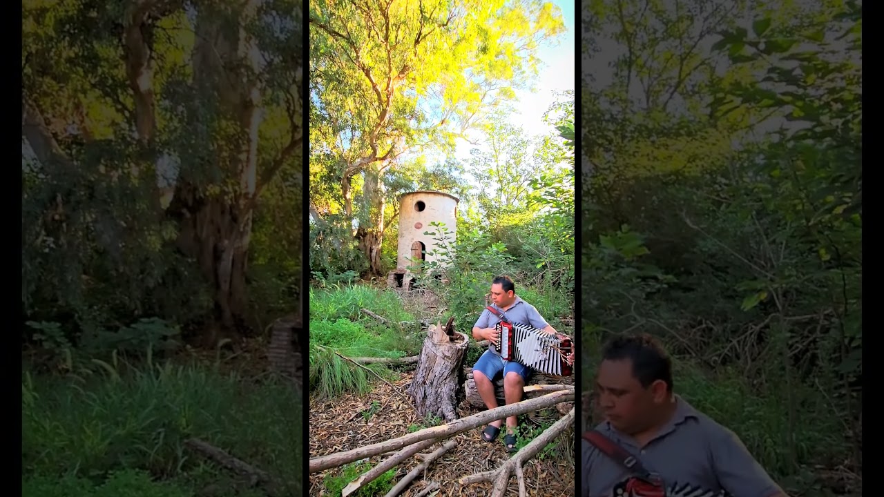 RECORDANDO - Victor Nicolau