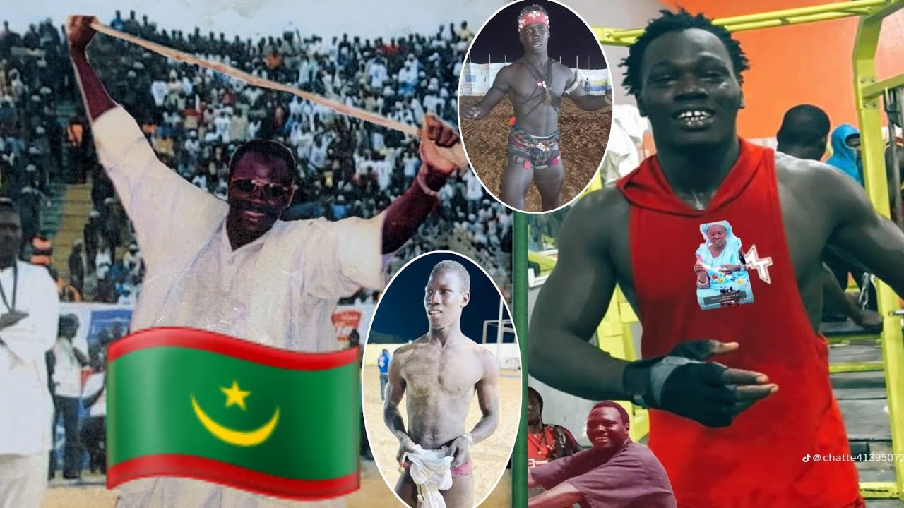 3 Lutteurs  De  même  père  Gagnent  Les 3 Mise Thiéy Wa keur Ibrahima Lô Champion Mauritanie 🇲🇷