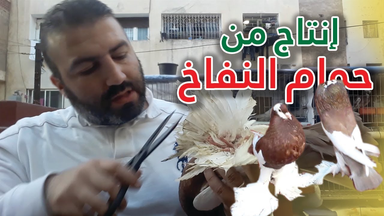 طريقة الصحيحة لربح إنتاج من حمام النفاخ