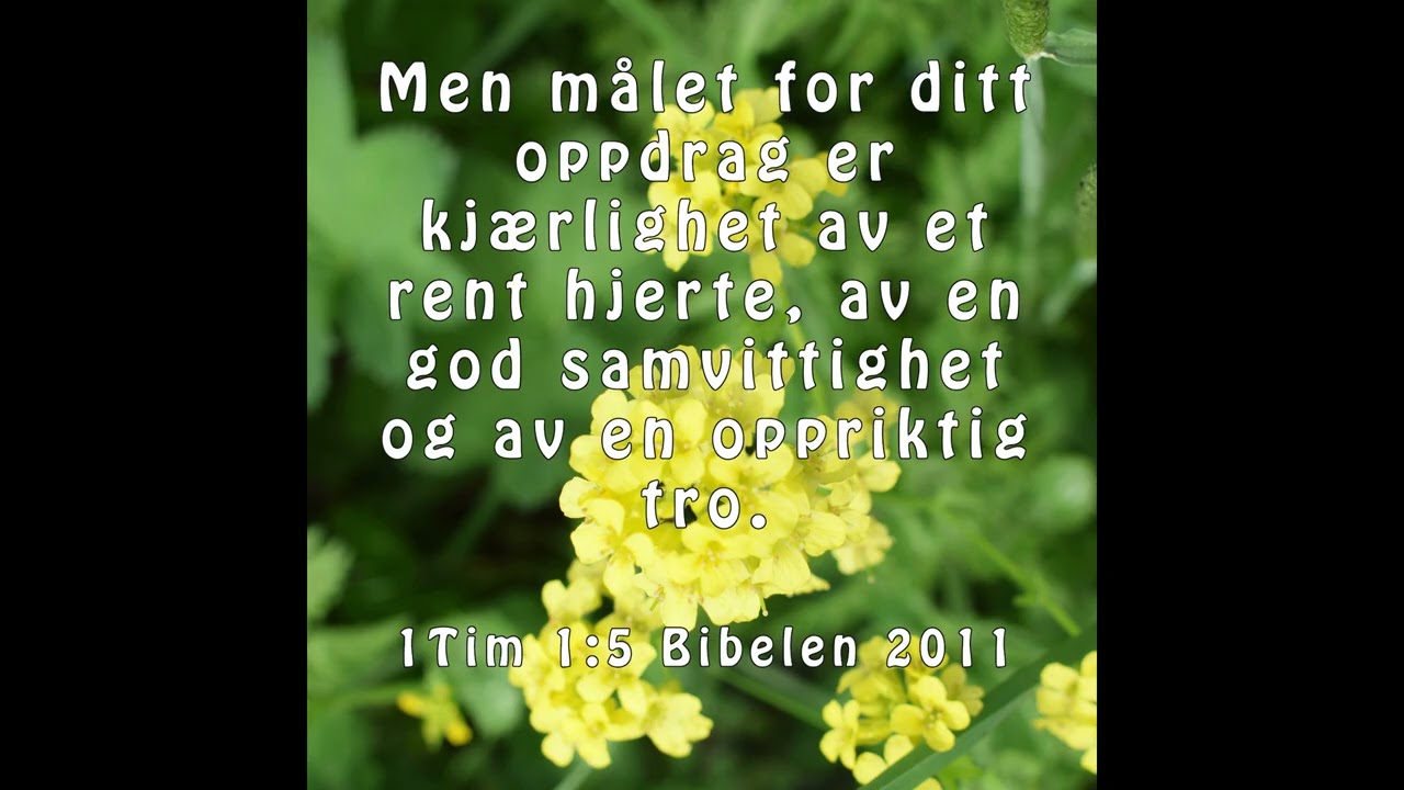 31 Bibelkort om Kjærlighet