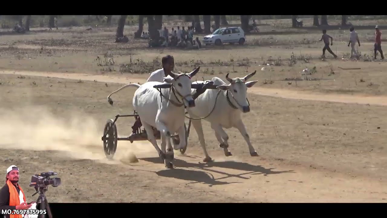तीसरा कपल | भादुकोटा परसवाड़ा पट 🌹 बैलगाड़ी शर्यत 🐂🔥 पट प्रतियोगिता | बरघाटी Full Video