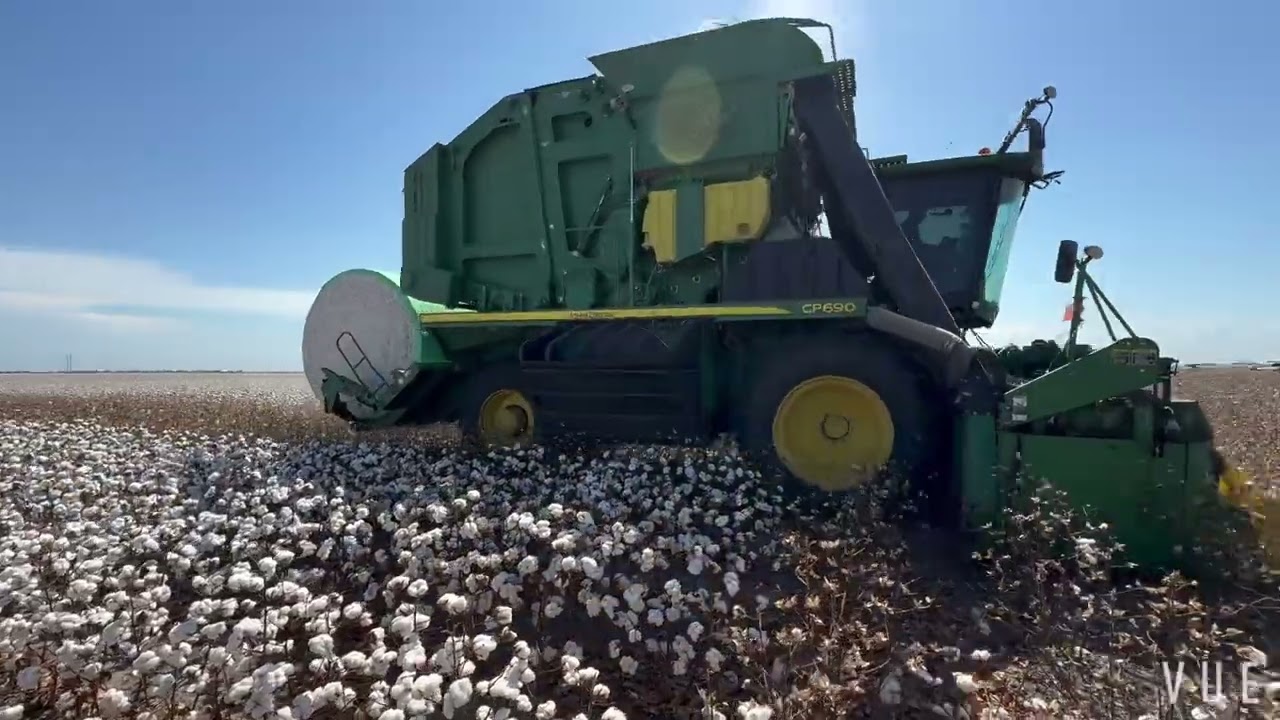 2025 Cotton Harvest in South Texas             @Baling Green