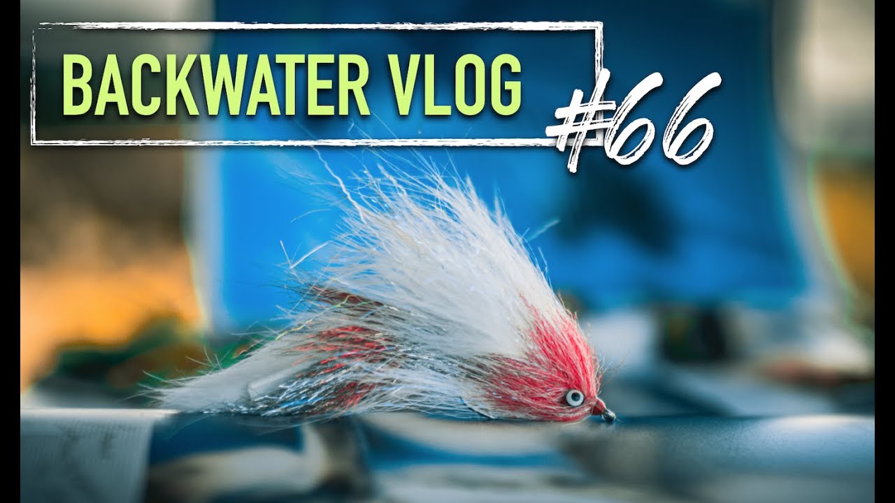 Как связать мощную шарнирную мушку-стример BEEFY: BACKWATER VLOG #66