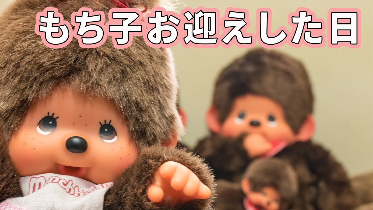 モンチッチのパペットお迎えした日【モンチッチシリーズ#58】