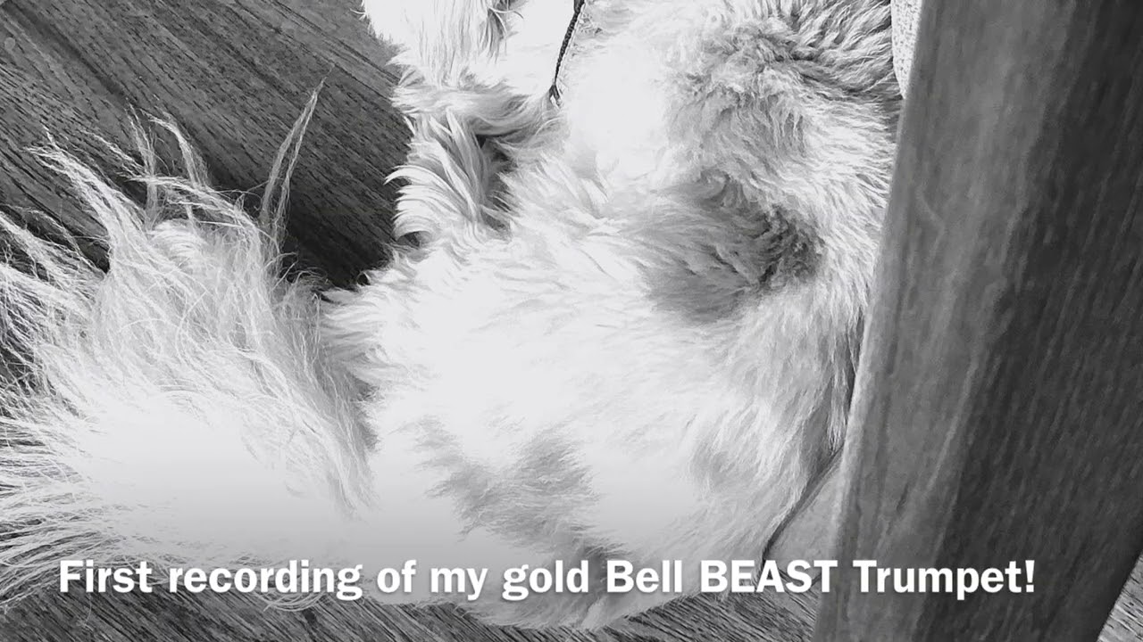 First recording on my Bell beast model trumpet (ACB 2+ custom reserve mouthpiece) 