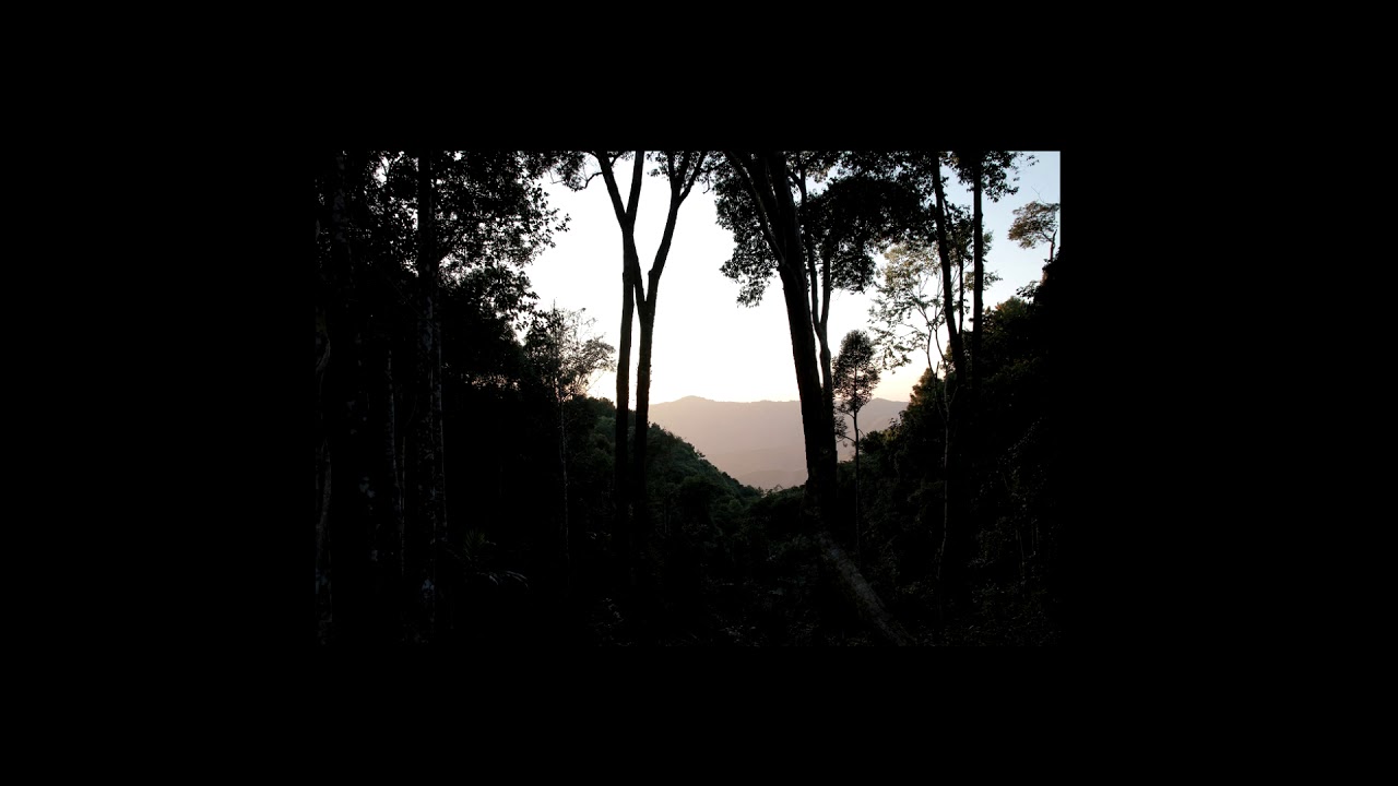 [FREE] SAD R&B Type Beat 