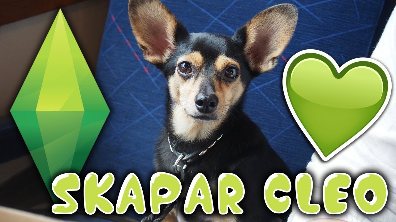 Skapar MIN HUND i The Sims 4