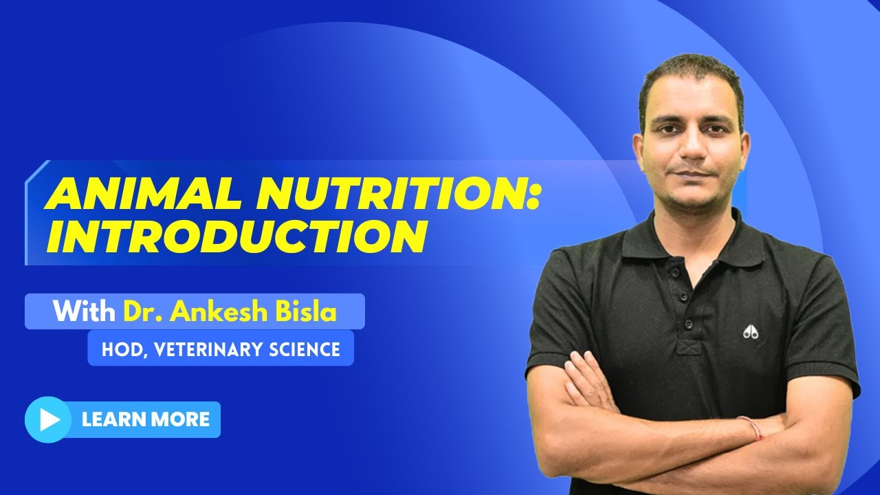 Introduction To Animal Nutrition | By Dr. Ankesh Bisla | Wise IAS