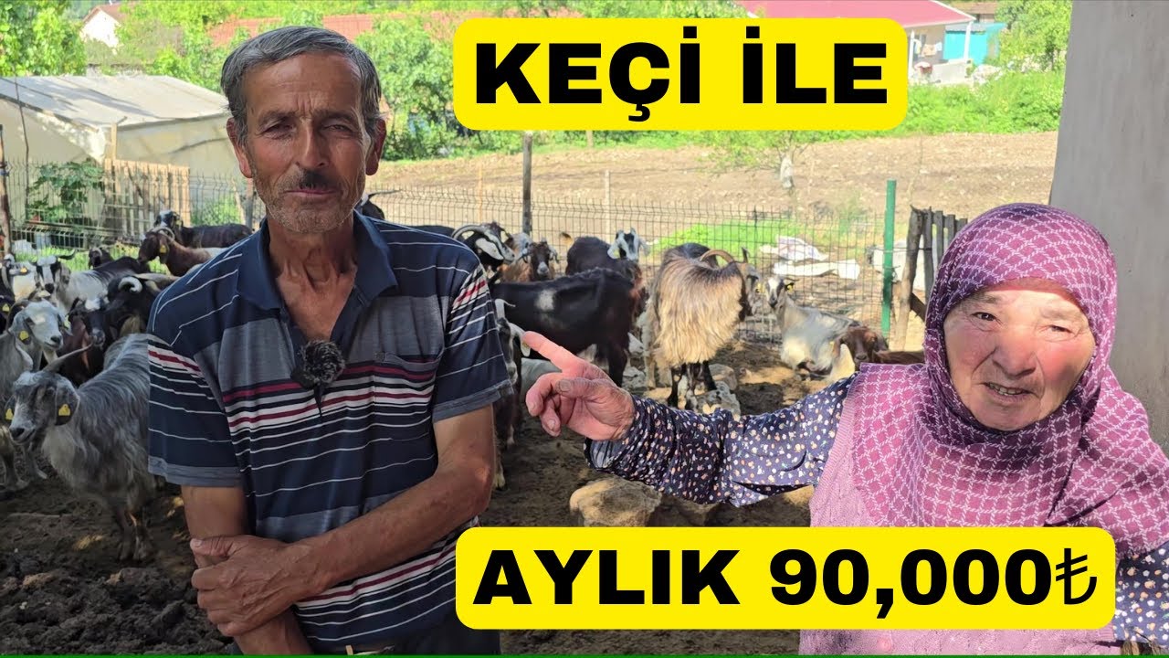 KEÇİDEN AYLIK 90,000TL KAZANIYORLAR (500 Yıldır Keçi Bakan Aile)