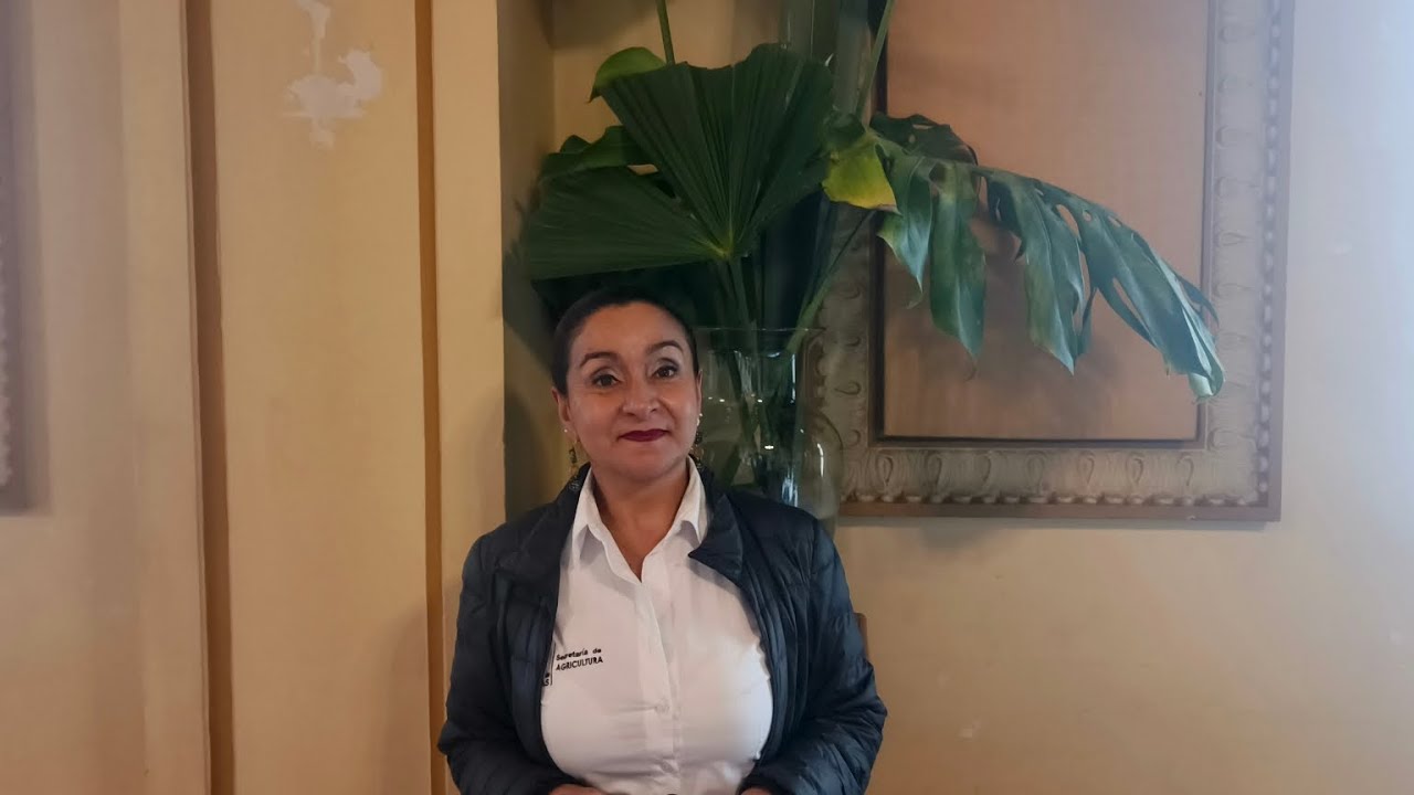  Concurso de café California