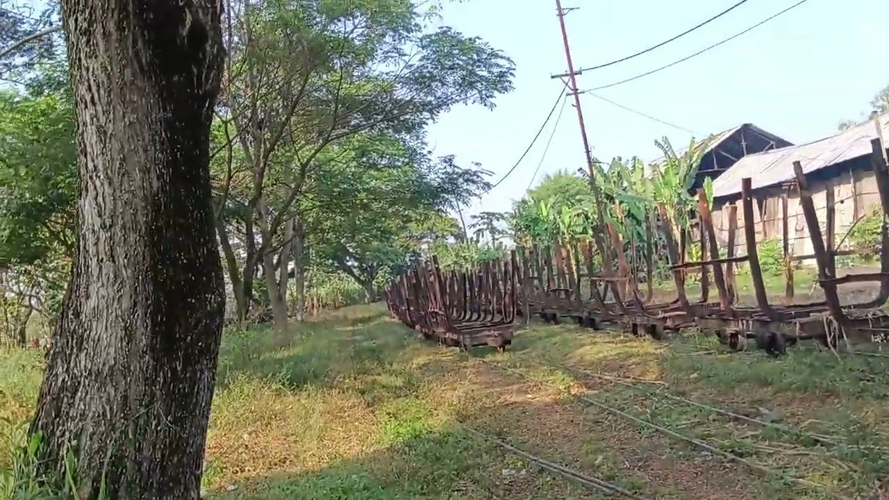 Masa penghabisan tebu di PG Pagotan... 
