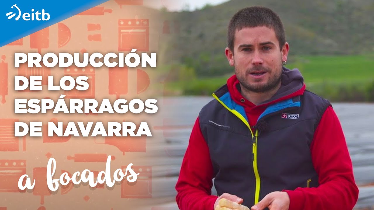 ¿Cómo es la producción de los espárragos de Navarra?