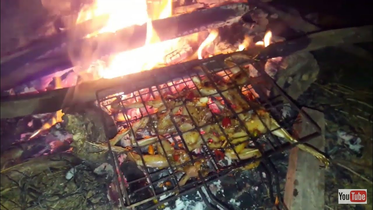 Primitive food-Catch n Cook Frog Recipe - Catch n Cook Frog on a Rock Recipe for Dinner and Eating