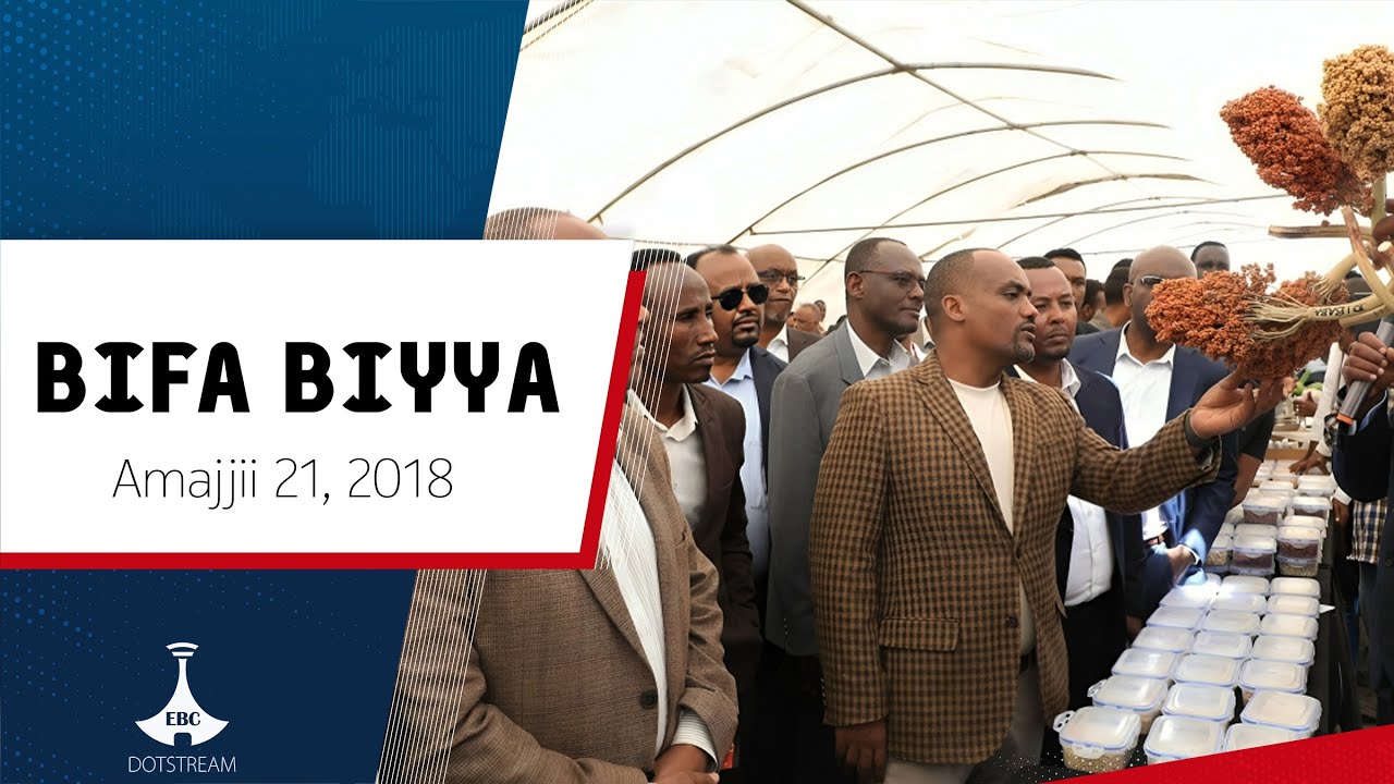BIFA BIYYAA ... Amajjii 22, 2018 etv |Ebc |Etv Afaan Oromoo|