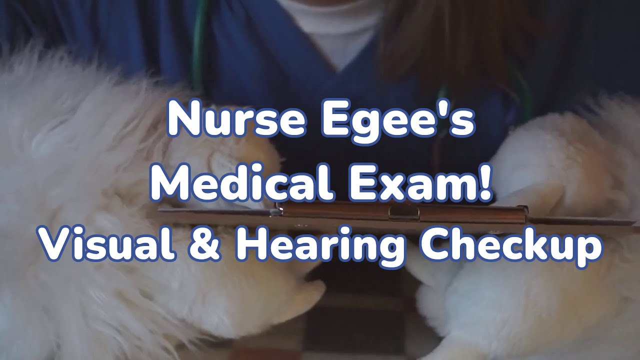 [Furry ASMR] Nurse Egee's Visual & Hearing Exam! | Soft Spoken, Fur Sounds, Heartbeats, Flashlight