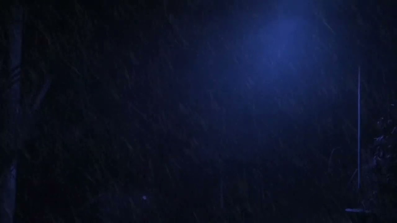 Forest Cabin Rain atMidnight | Deep Sleep RainSounds (3 Hours, No thunder)
