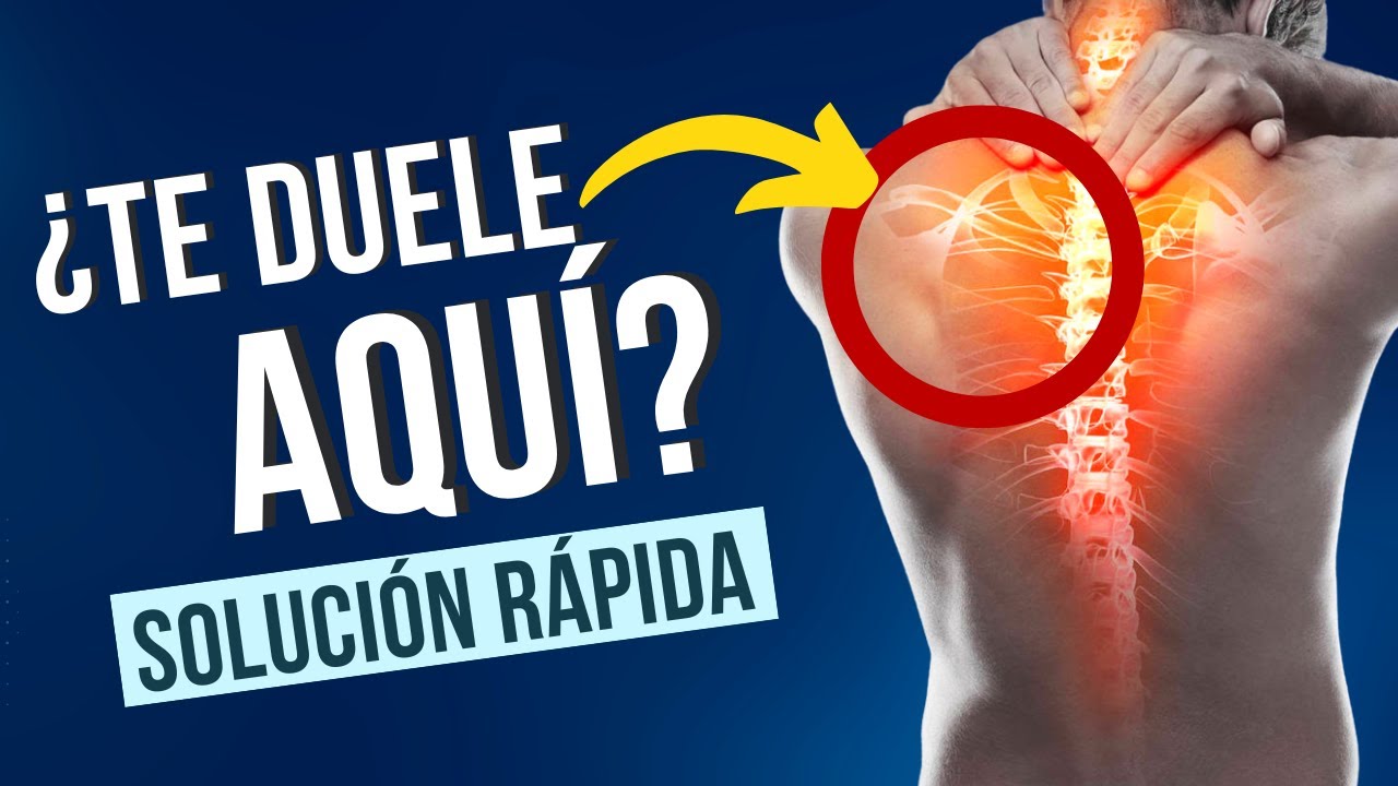 👍Los 3 MEJORES ejercicios para la ESPALDA ALTA  Mejora tus dolores de espalda alta😉