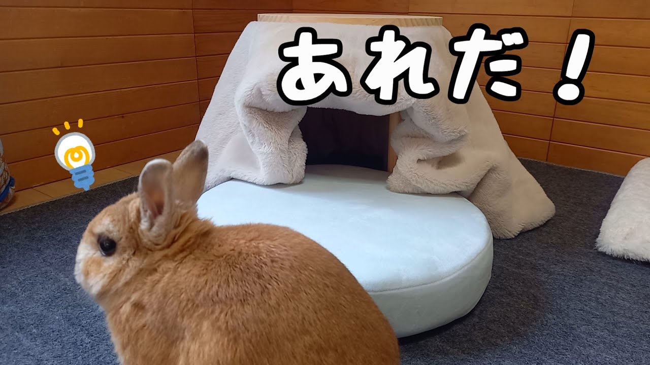 お楽しみ後はバスケット工事