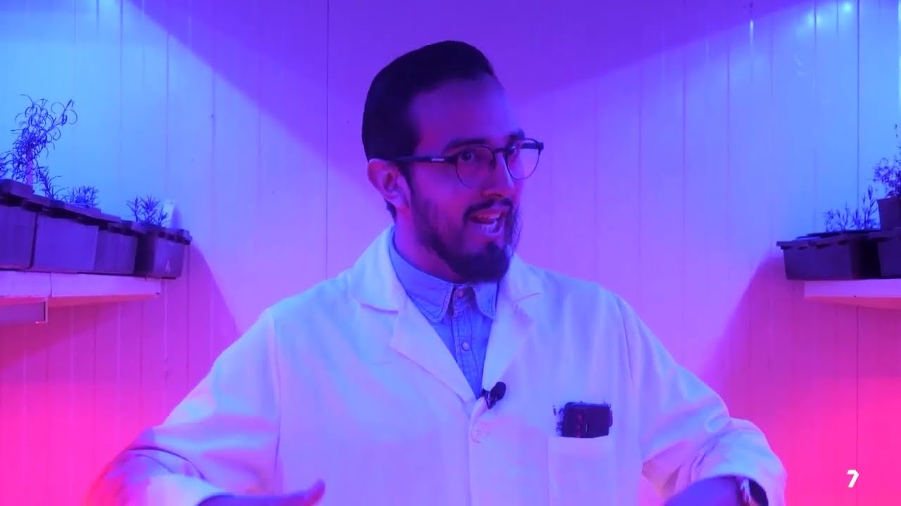 Cultivos de secano y aceites esenciales | Imida Murcia