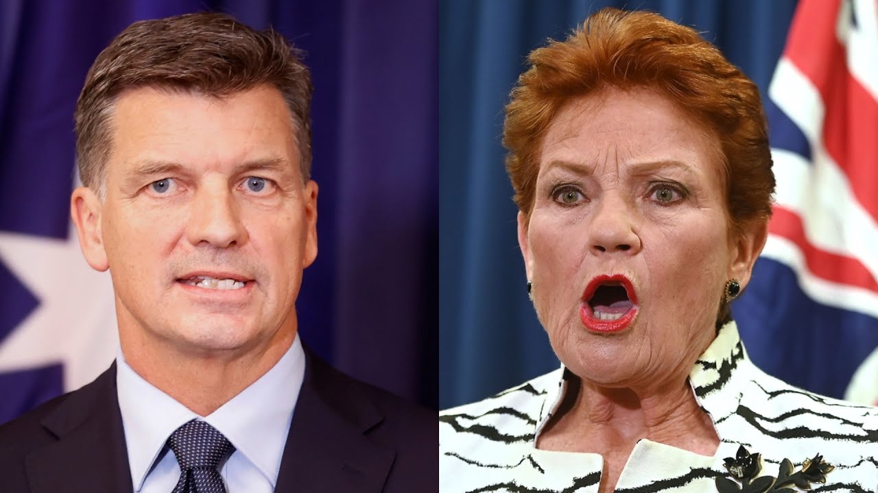 ‘Different jockey, same dead horse’: Hanson attacks Liberals over mass migration